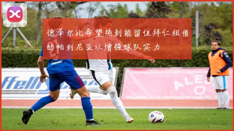 德泽尔比希望热刺能留住拜仁租借的帕利尼亚以增强球队实力